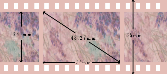 image of a piece of film